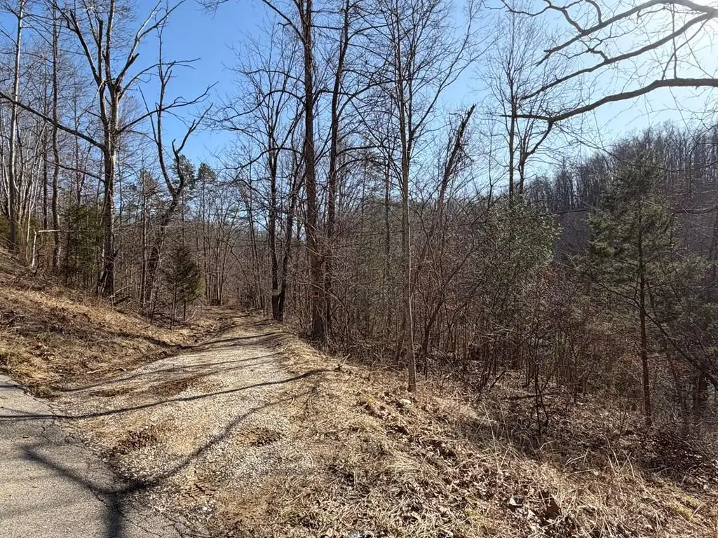 7041 Ky Route 1092, Flatgap, KY 41219 - #1