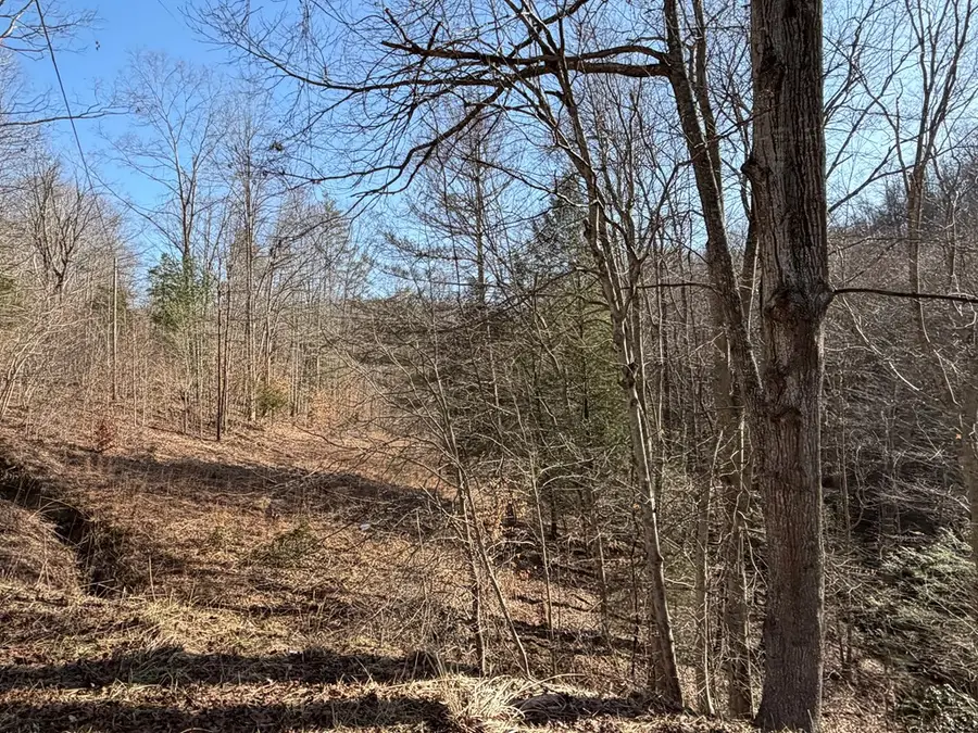 7041 Ky Route 1092, Flatgap, KY 41219 - #3