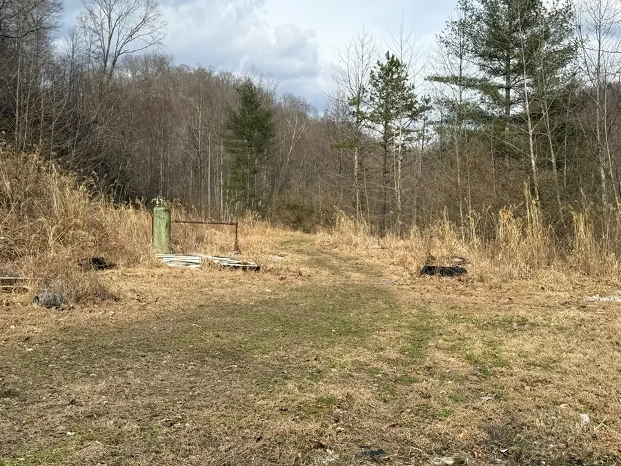 64 Wireman Dr, Littcarr, KY 41853 - #2