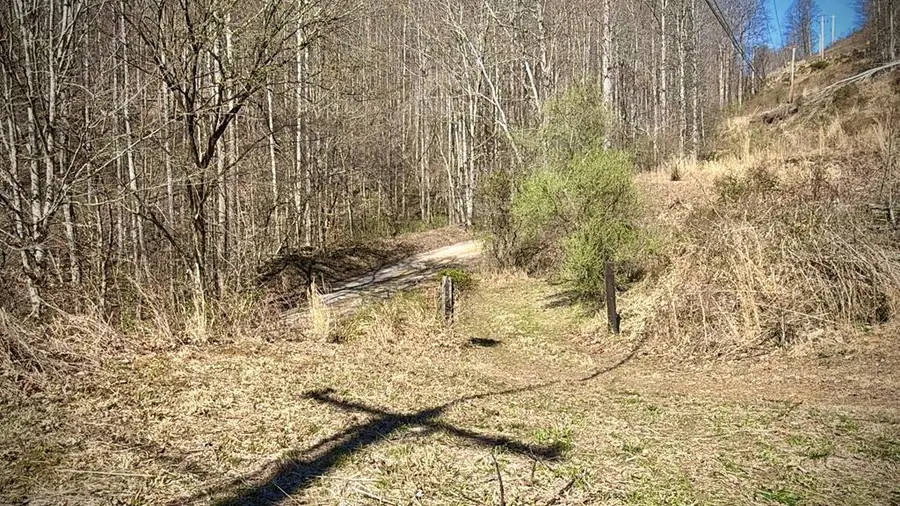 00 Hatfield Branch, McCarr, KY 41544 - #2