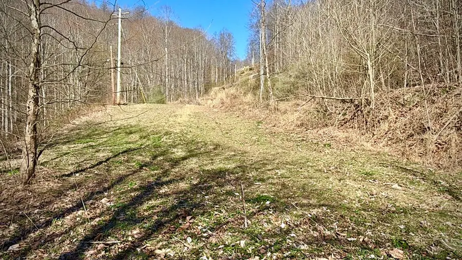 00 Hatfield Branch, McCarr, KY 41544 - #3