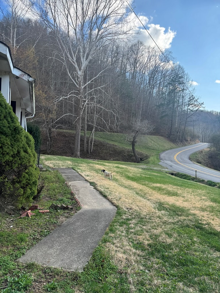 8125 Hode Road, Inez, KY 41224 - #2