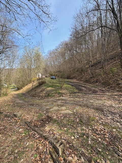00 Robinson Hollow Road, Martin, KY 41649 - #1