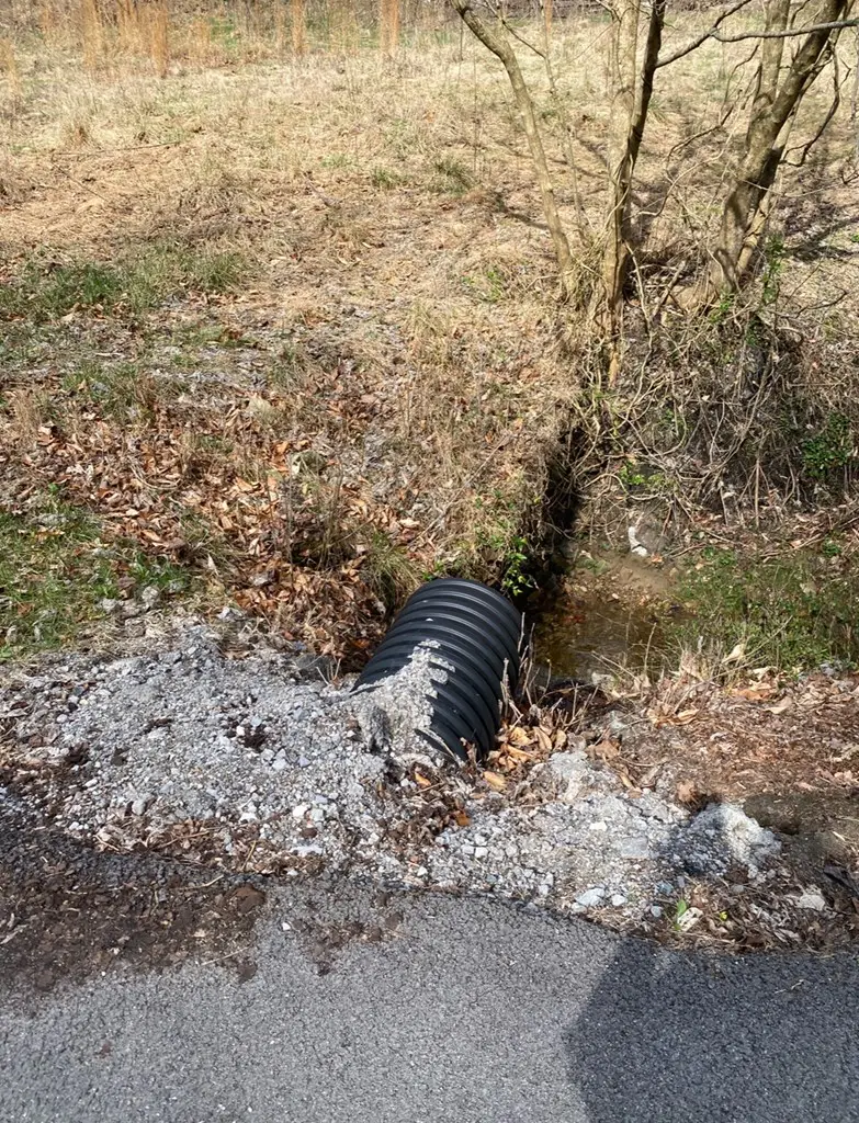 36 Rays Branch, Varney, KY 41571 - #3