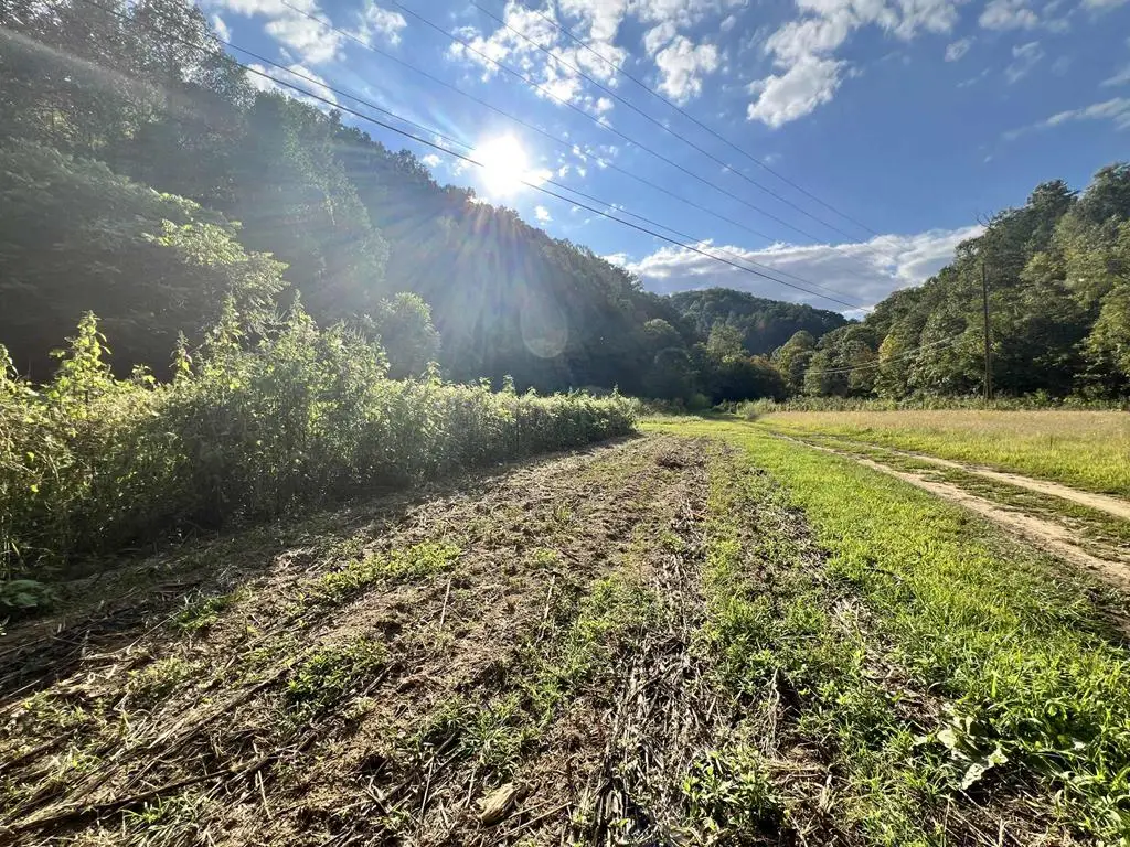 0000 Rockhouse Fork Of Marrobone Map# 085-00-00-015.05, Elkhorn City, KY 41522 - #1