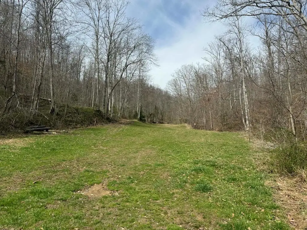 0 Clarks Dr, Flatgap, KY 41219 - #1