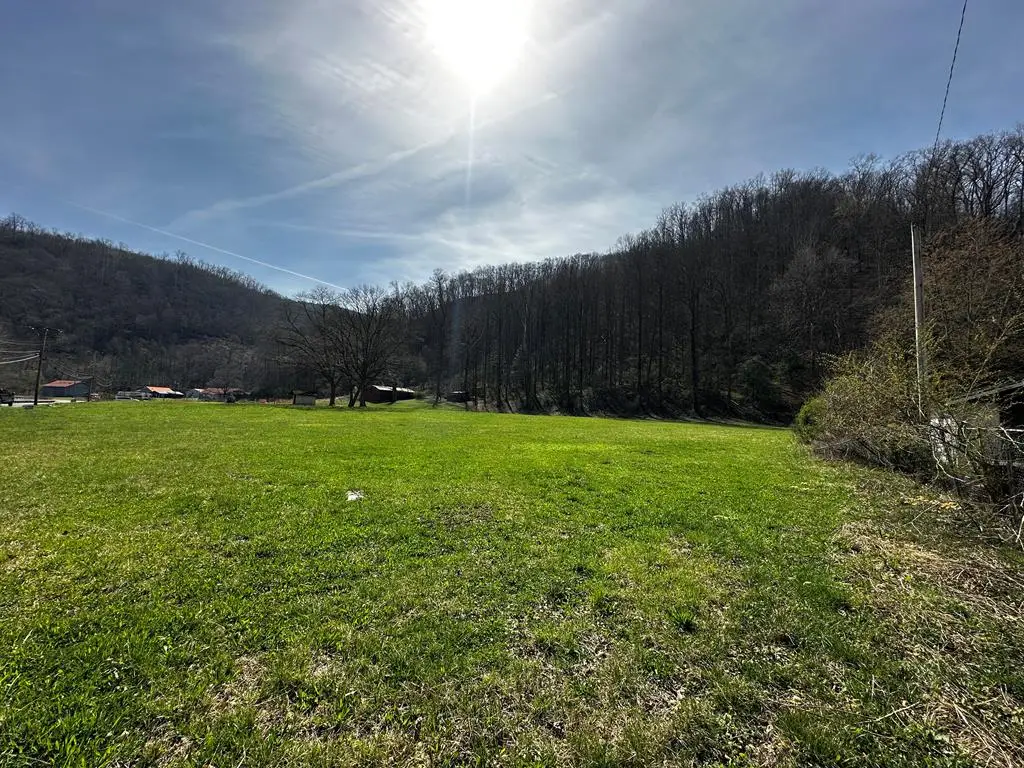 8957 Highway 1056, McCarr, KY 41544 - #1