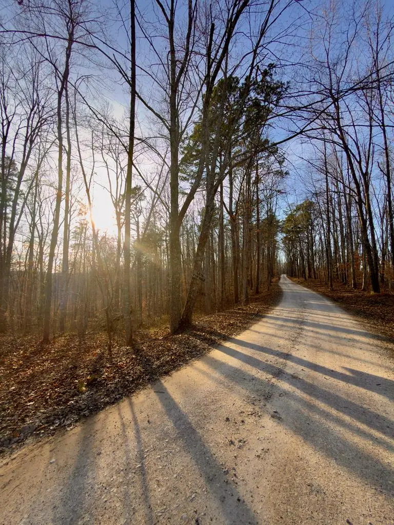 00 Muddy Ridge Rd, Adams, KY 41201 - #1