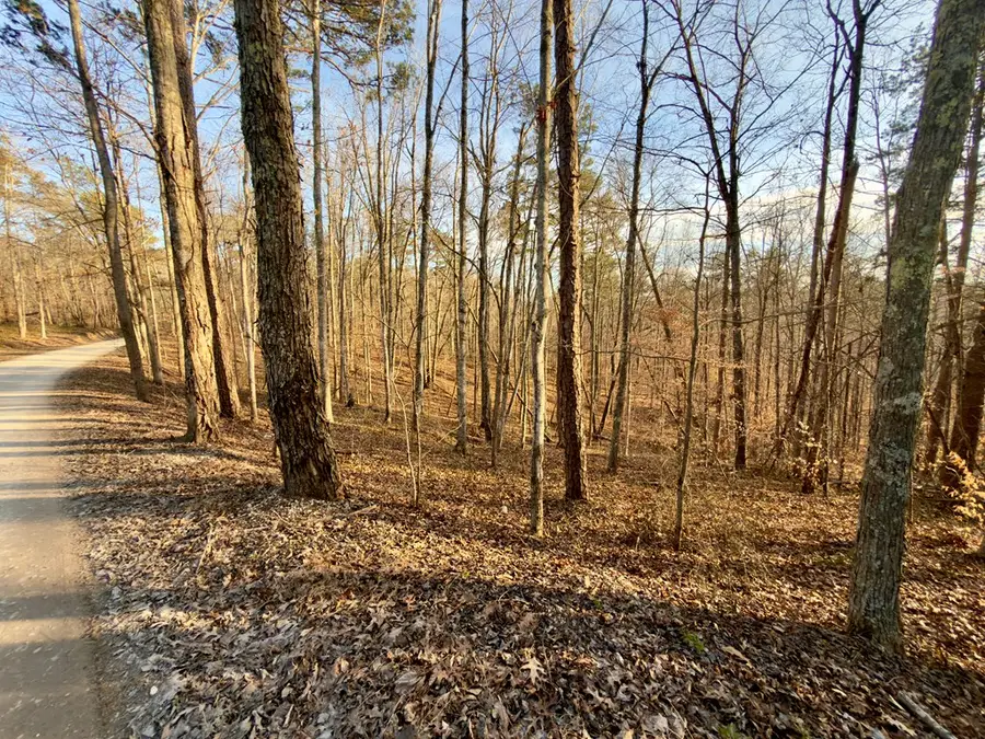 00 Muddy Ridge Rd, Adams, KY 41201 - #3