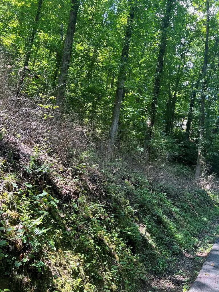 Lot 5&7 Section 3 Mt. Martha, Pikeville, KY 41501 - #1