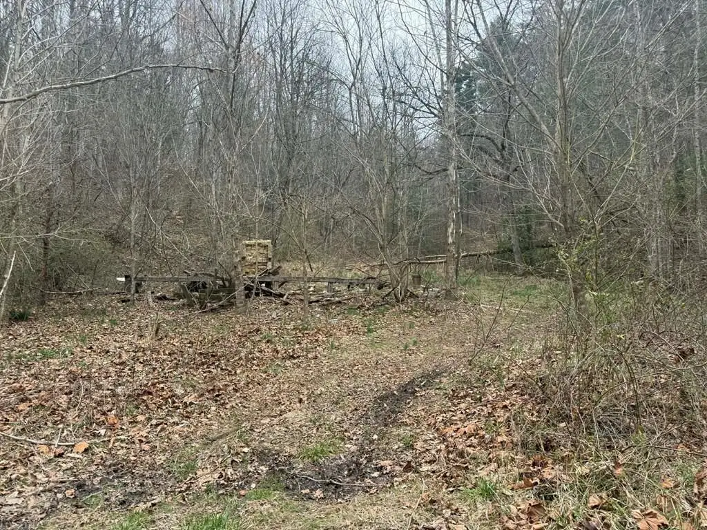 2572 Williams Branch, Flatgap, KY 41219 - #1