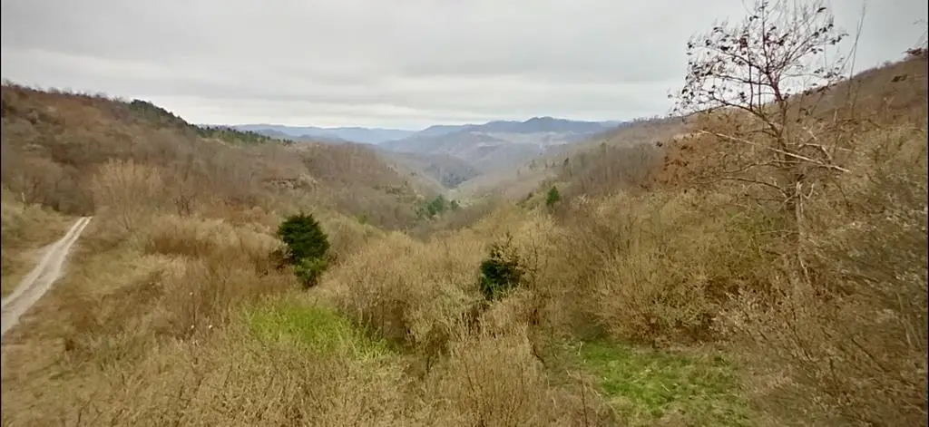 0 Left Fork Long Frk,, Virgie, KY 41572 - #1