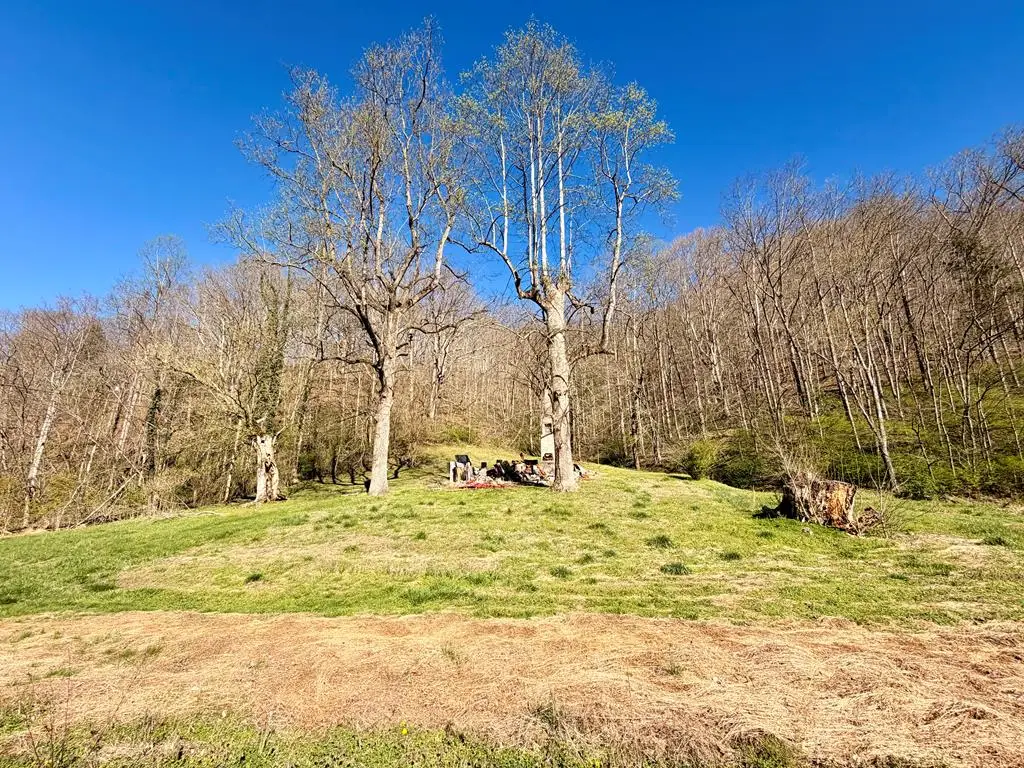 3083 Ky Route 550, Hueysville, KY 41640 - #1