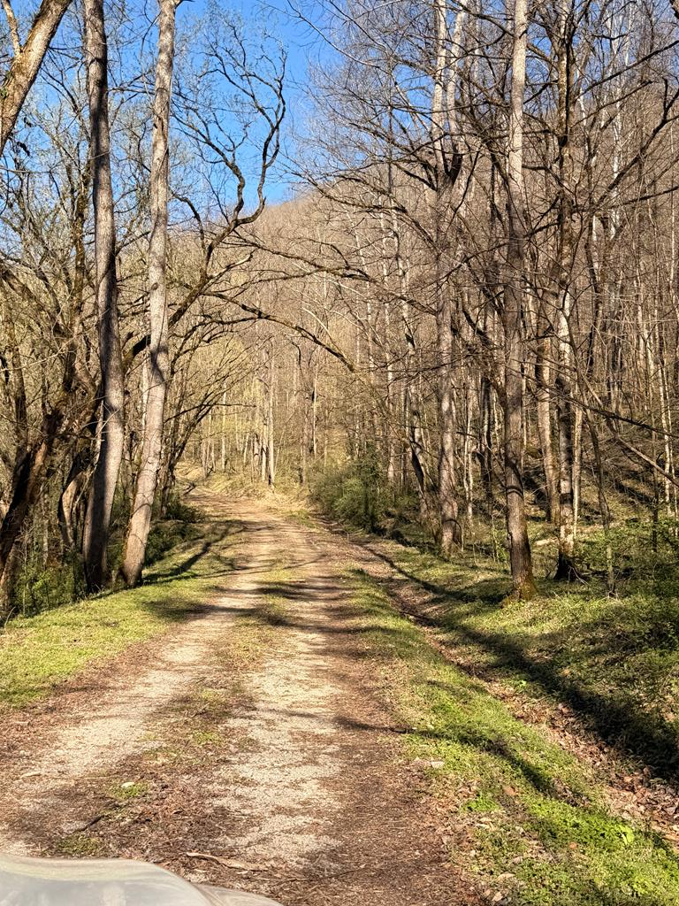 3083 Ky Route 550, Hueysville, KY 41640 - #3