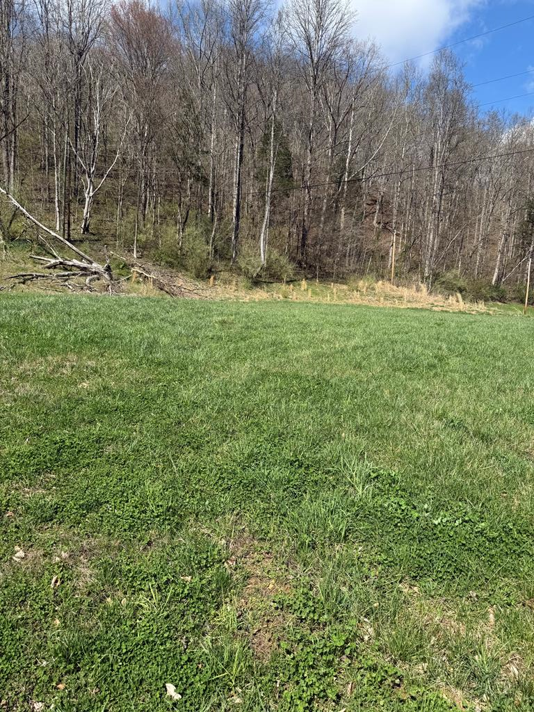 0 Cowpen #Lot 4, Pikeville, KY 41501 - #1