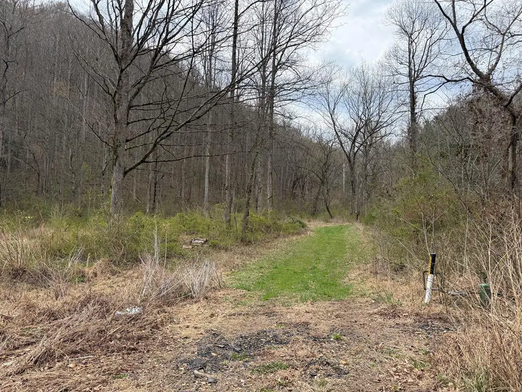 291 Sugar Camp Road, Robinson Creek, KY 41561 - #1