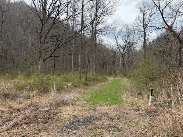 291 Sugar Camp Road, Robinson Creek, KY 41561