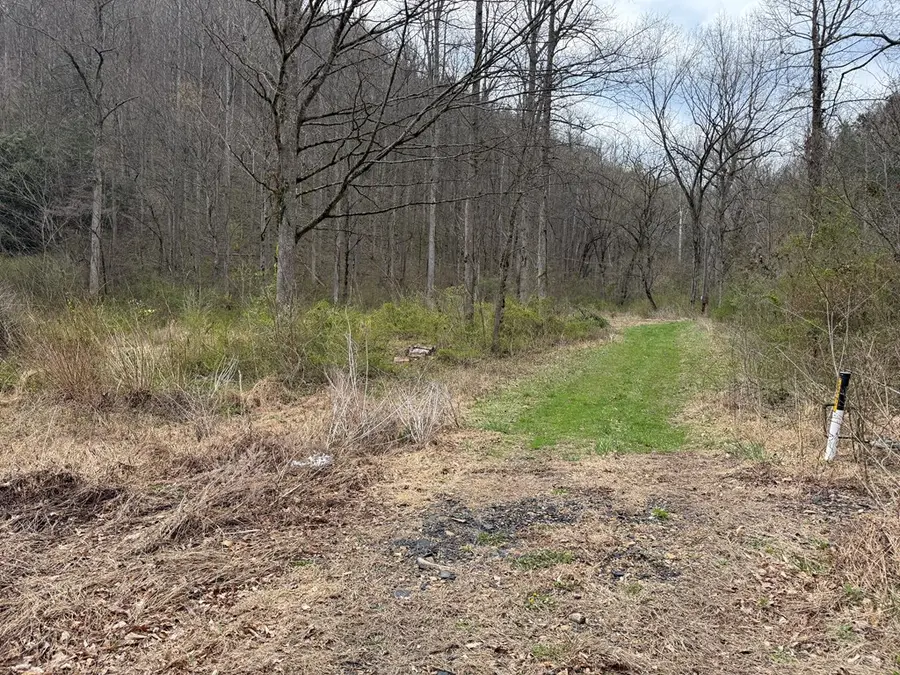 291 Sugar Camp Road, Robinson Creek, KY 41561 - #3