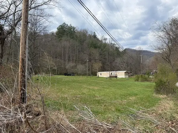 295 Sugar Camp Rd, Robinson Creek, KY 41561