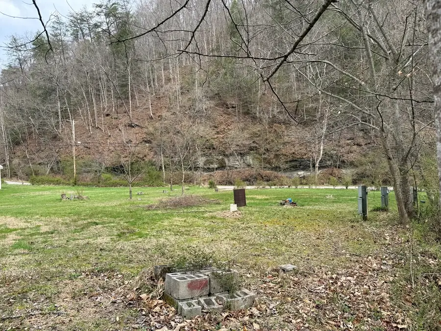295 Sugar Camp Rd, Robinson Creek, KY 41561 - #3
