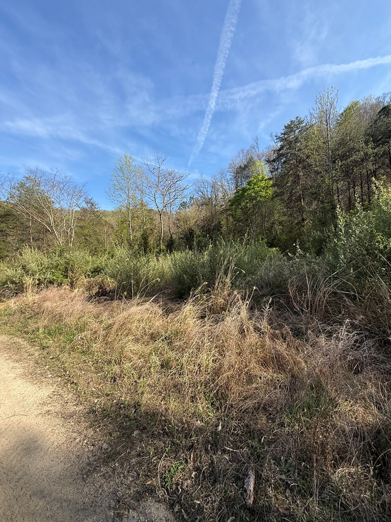 1083 Left Fork Toler Creek, Harold, KY 41635 - #2