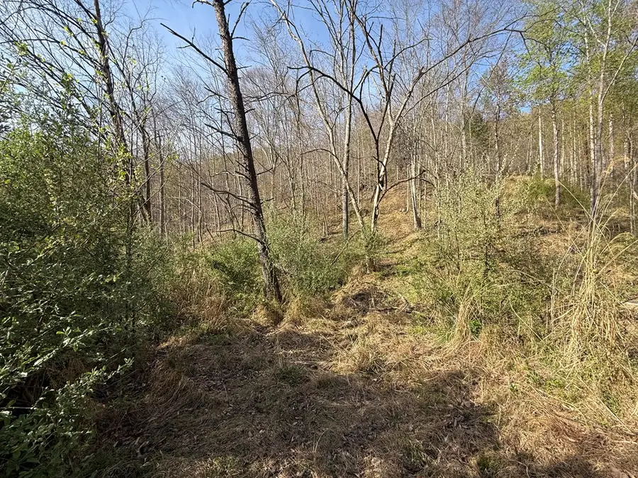 1083 Left Fork Toler Creek, Harold, KY 41635 - #3