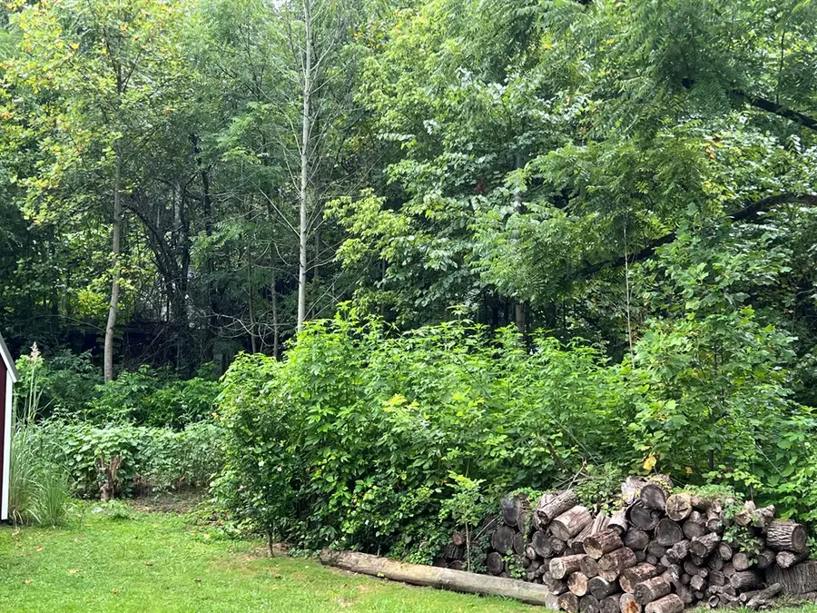 4407 Elkhorn Creek, Elkhorn City, KY 41522 - #2