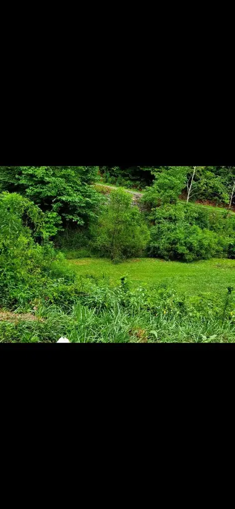 531 Sylvester Branch Road, Emmalena, KY 41740 - #2