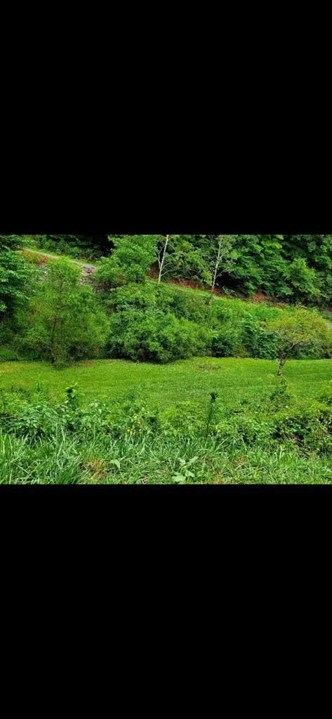 531 Sylvester Branch Road, Emmalena, KY 41740 - #3