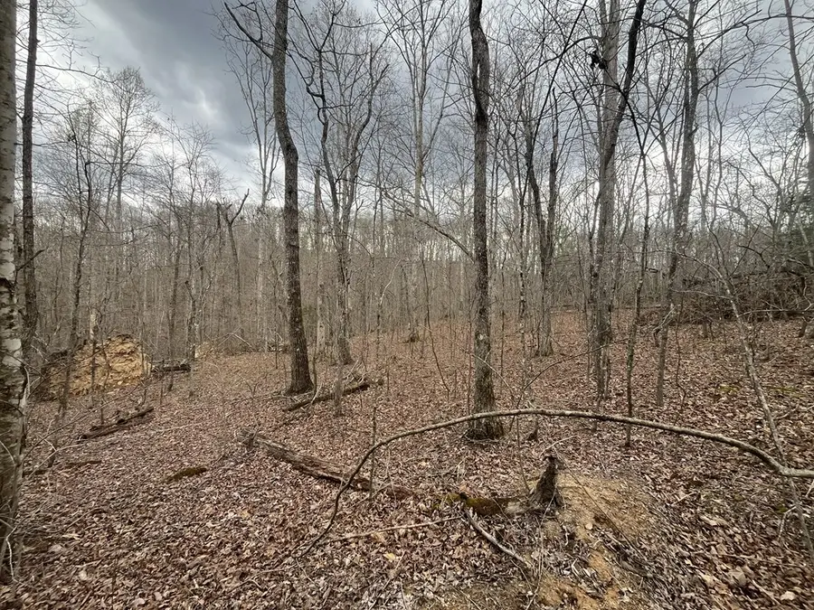 Lot 10 Mountain Springs Cem Road, Ravenna, KY 40475 - #3
