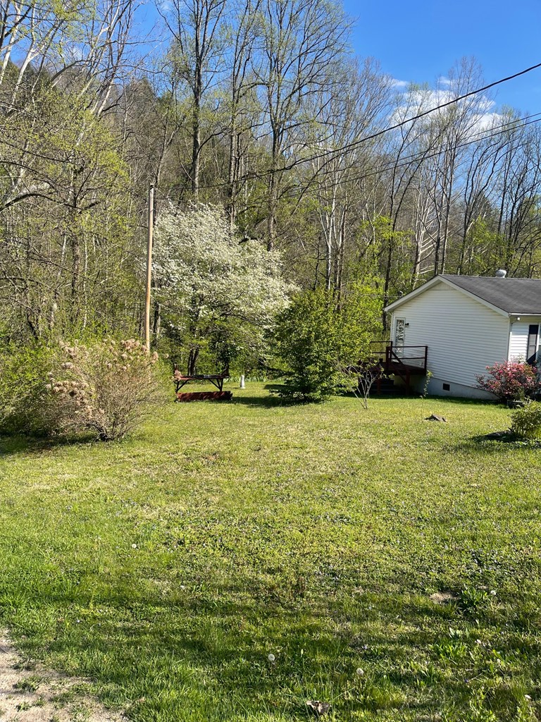 94 Elderberry Drive, Whitesburg, KY 41858 - #2