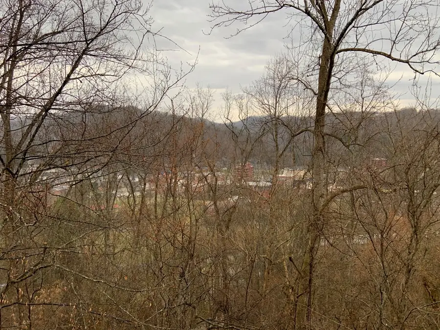 102 Smith Hill, Pikeville, KY 41501 - #3