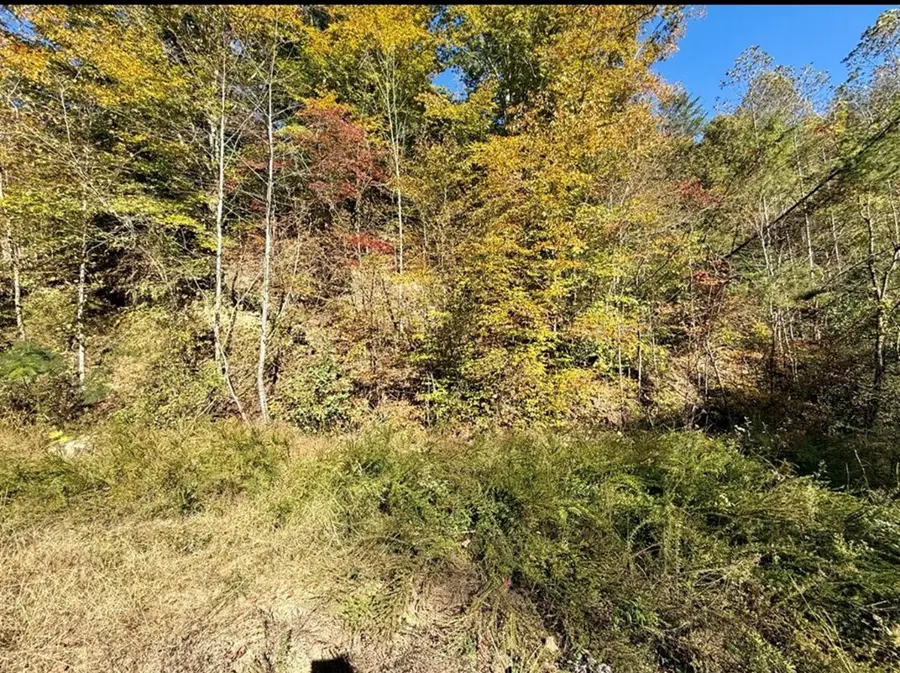 0 Kidd Fork, Banner, KY 41603 - #2