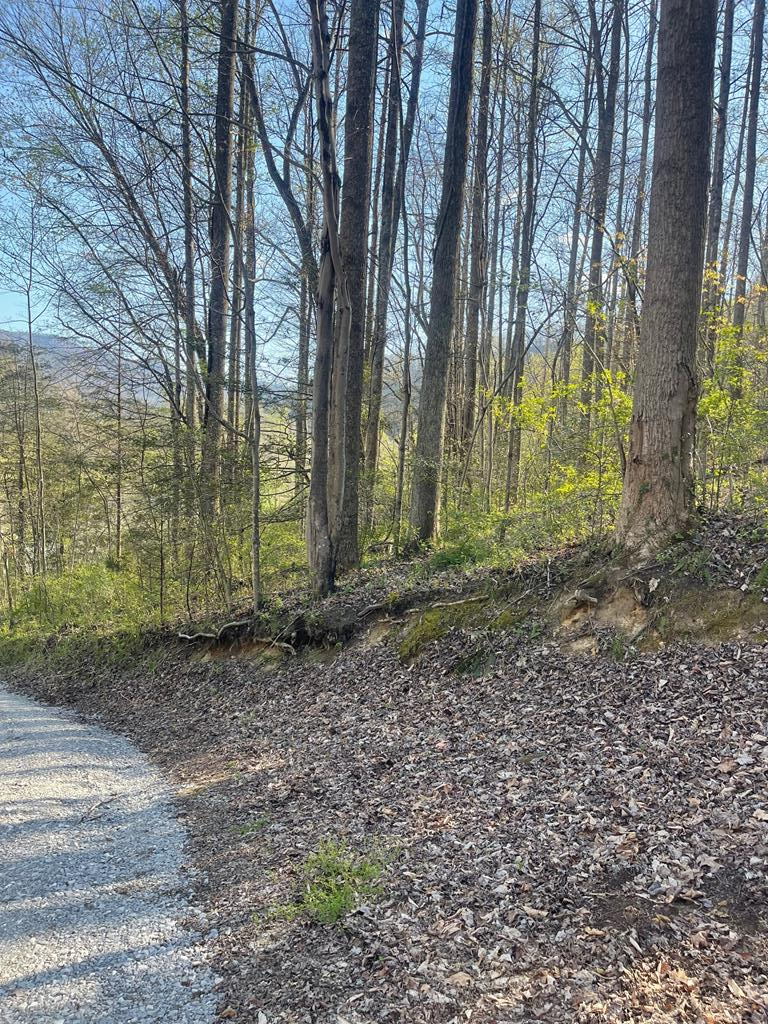 0 Elderberry Drive, Whitesburg, KY 41858 - #1