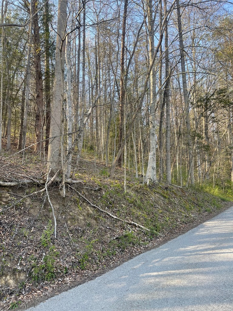 0 Elderberry Drive, Whitesburg, KY 41858 - #3