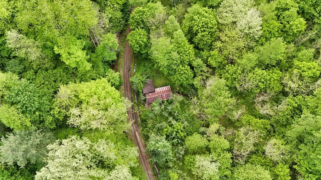 0 Indian Grove Rd, Mouthcard, KY 41548 - #1