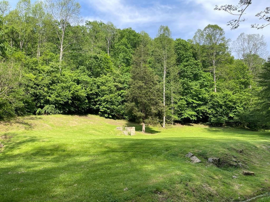 317 Turkey Crum Branch, Inez, KY 41224 - #1