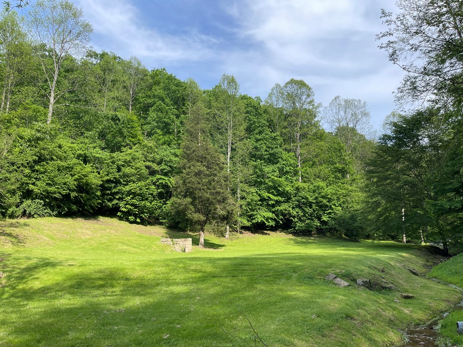 317 Turkey Crum Branch, Inez, KY 41224 - #3