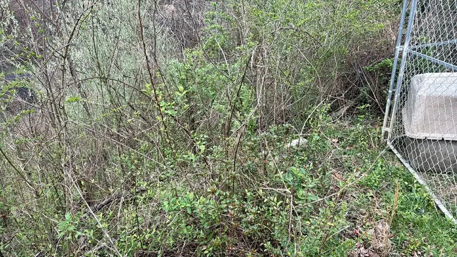 93 Right Fork Bolen Branch, Garrett, KY 41630 - #3