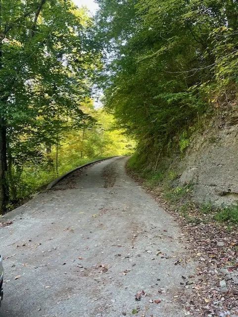 1085 Spring Branch Road, Jeremiah, KY 41826 - #3