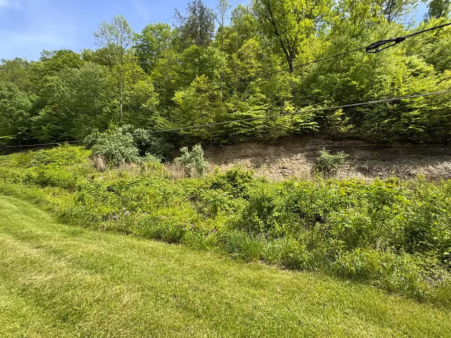 0 Ky Route 40 W, Oil Springs, KY 41238 - #2