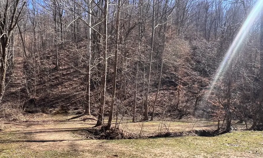 0 Bend Branch Road, Salyersville, KY 41465 - #2