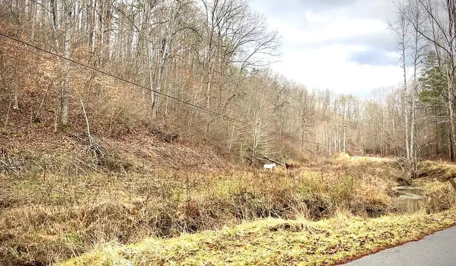 0 Half Mountain Creek Road, Ky 414650, Salyersville, KY 41465 - #3