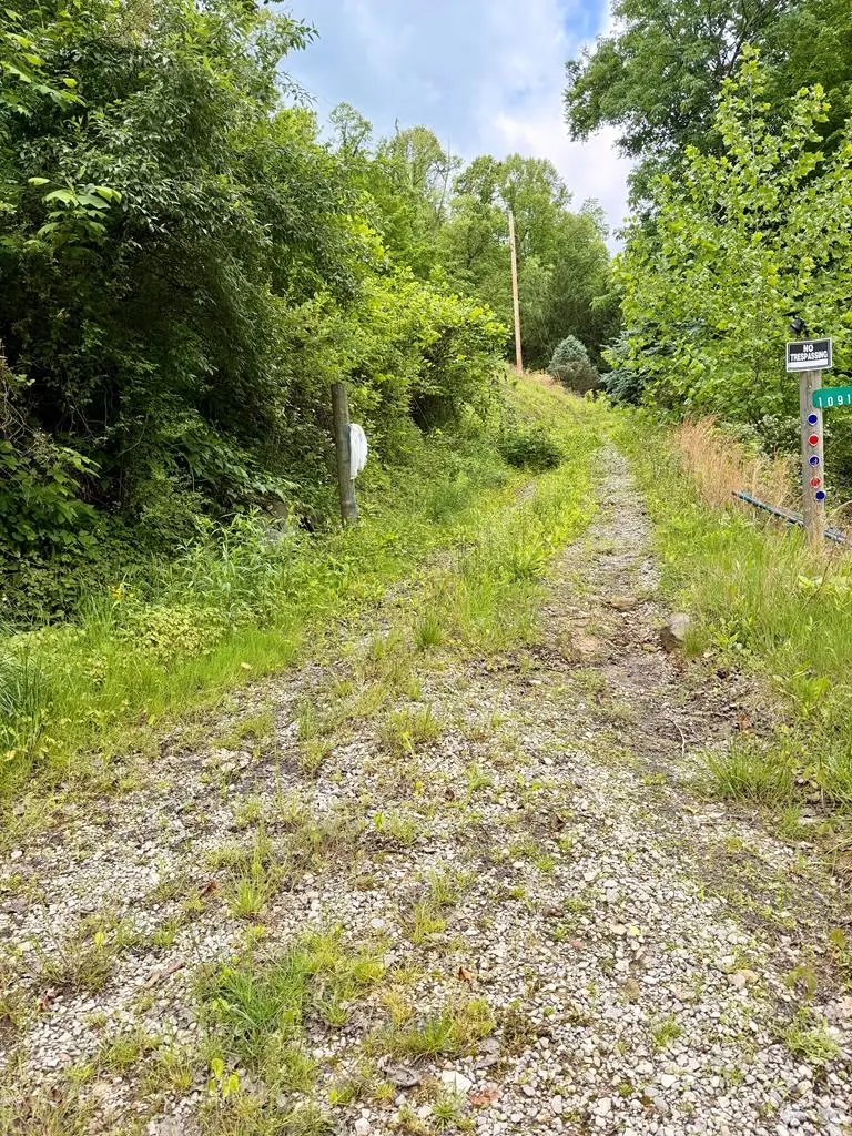10908 River Front Rd, Belfry, KY 41514 - #1