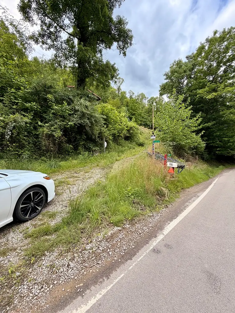 10908 River Front Rd, Belfry, KY 41514 - #2