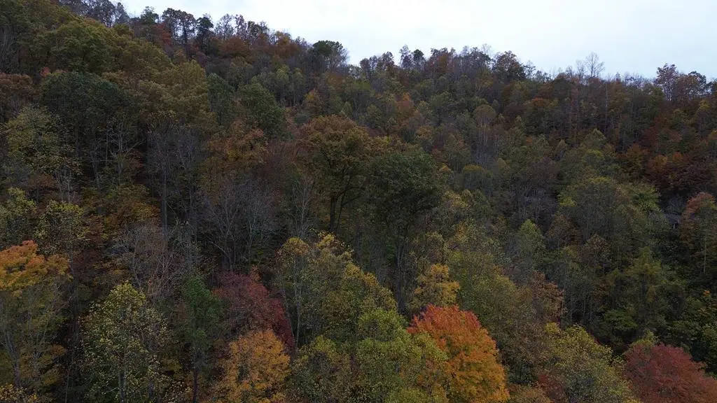 0 Roy Hill Rd., Hindman, KY 41822 - #1