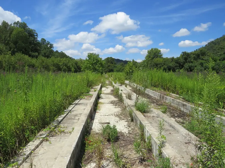00 Chestnut Road- Whitehouse, Paintsville, KY 41240 - #2