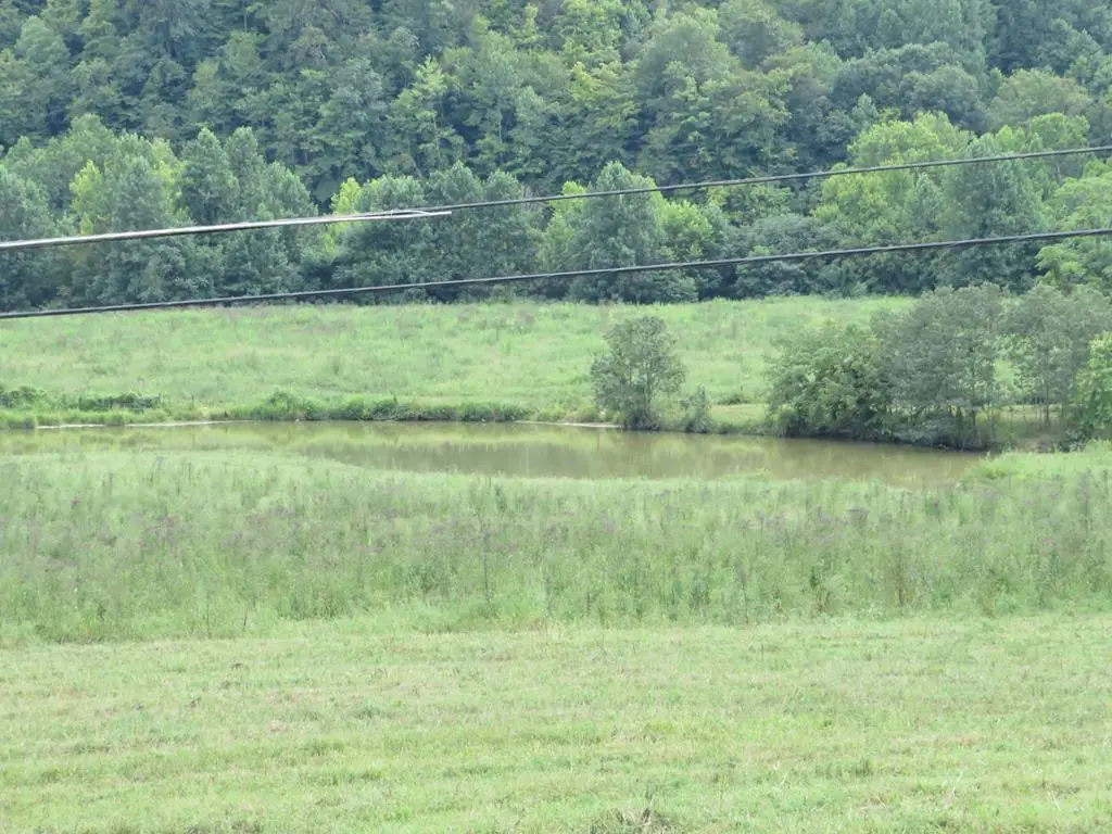 3534 Mcclure Branch, Louisa, KY 41230 - #1