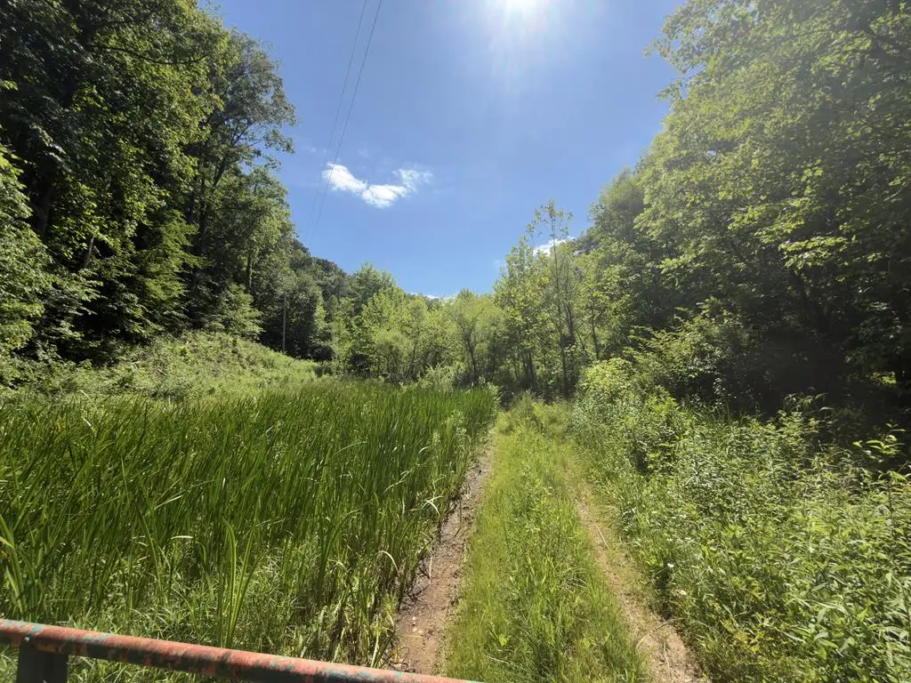 00 Hickman Fork Rd, Louisa, KY 41230 - #1