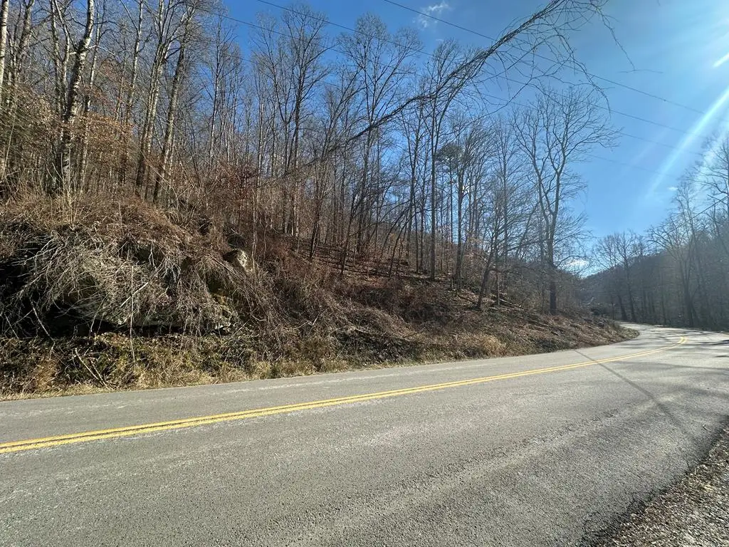 00 Left Fork Maces Creek Rd, Viper, KY 41774 - #1